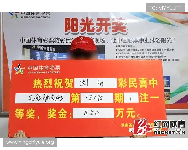 2002年世界杯体彩中奖技巧:如何合理分配投注资金提高中奖几率